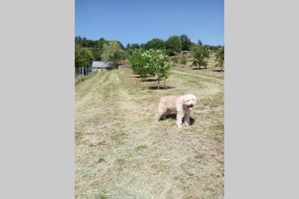 La Truffiere Villa Castelnau-de-Mandailles Buitenkant foto